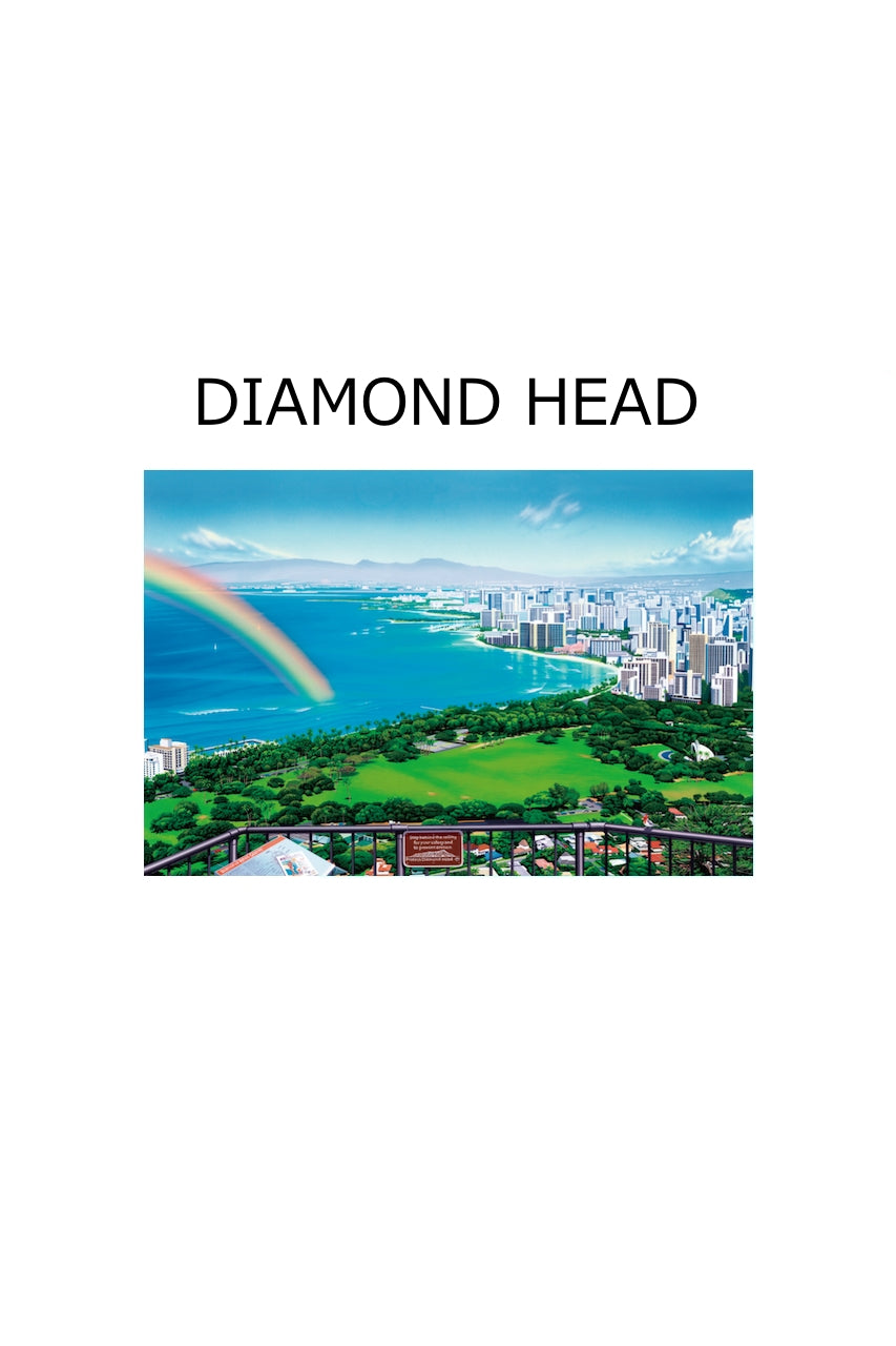英語　グル風拡張アートの島4枚と山2枚 栗山義勝 DIAMOND HEAD Sサイズ – ローカルモーション公式オンライン