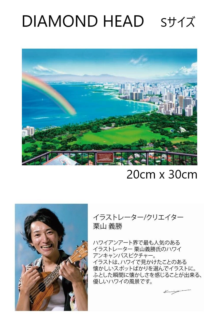 栗山義勝 DIAMOND HEAD Sサイズ – ローカルモーション公式オンライン