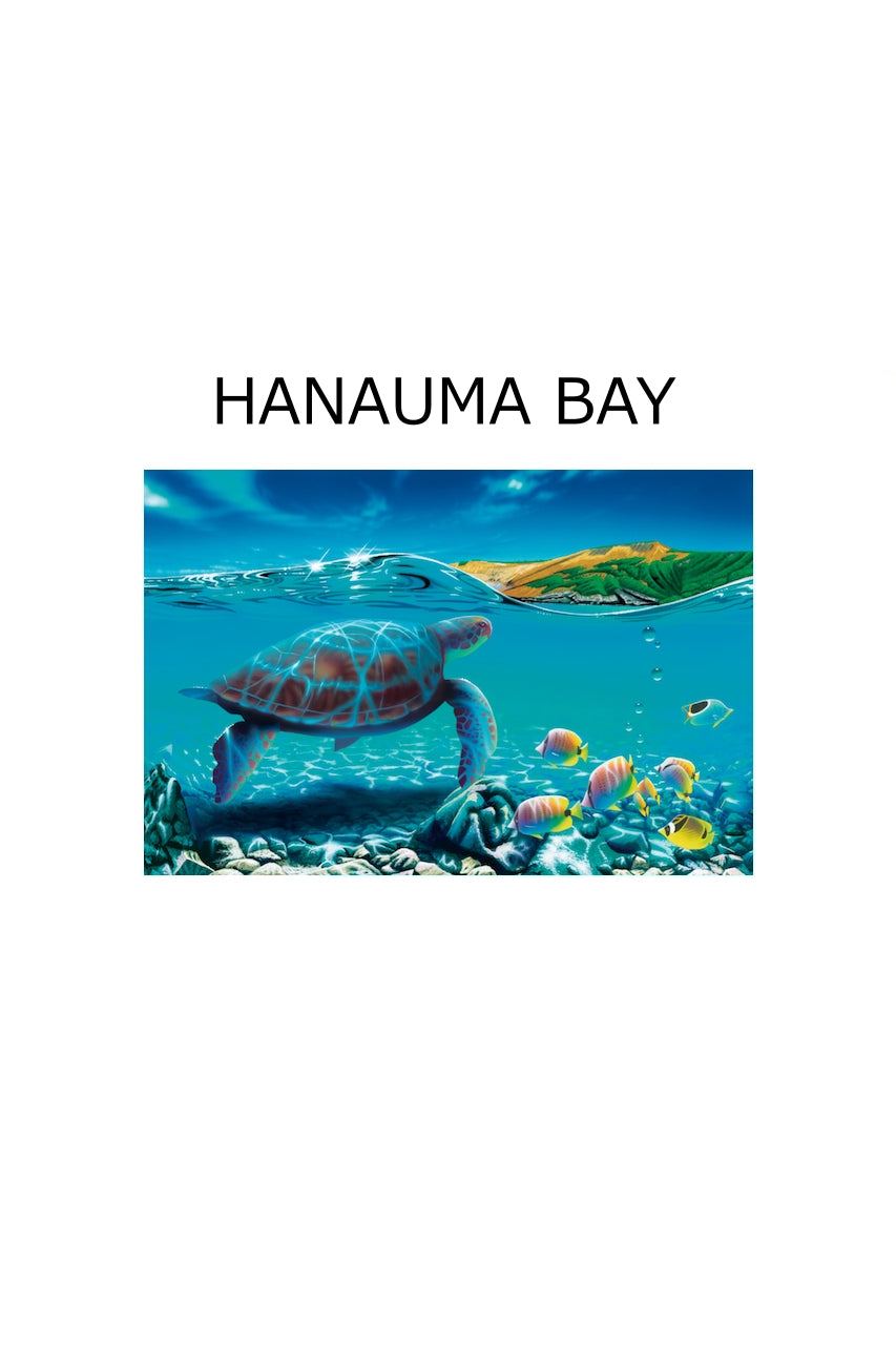 栗山義勝 HANAUMA BAY Sサイズ – ローカルモーション公式オンライン 栗山義勝 HANAUMA BAY Sサイズ – ローカルモーション公式オンライン