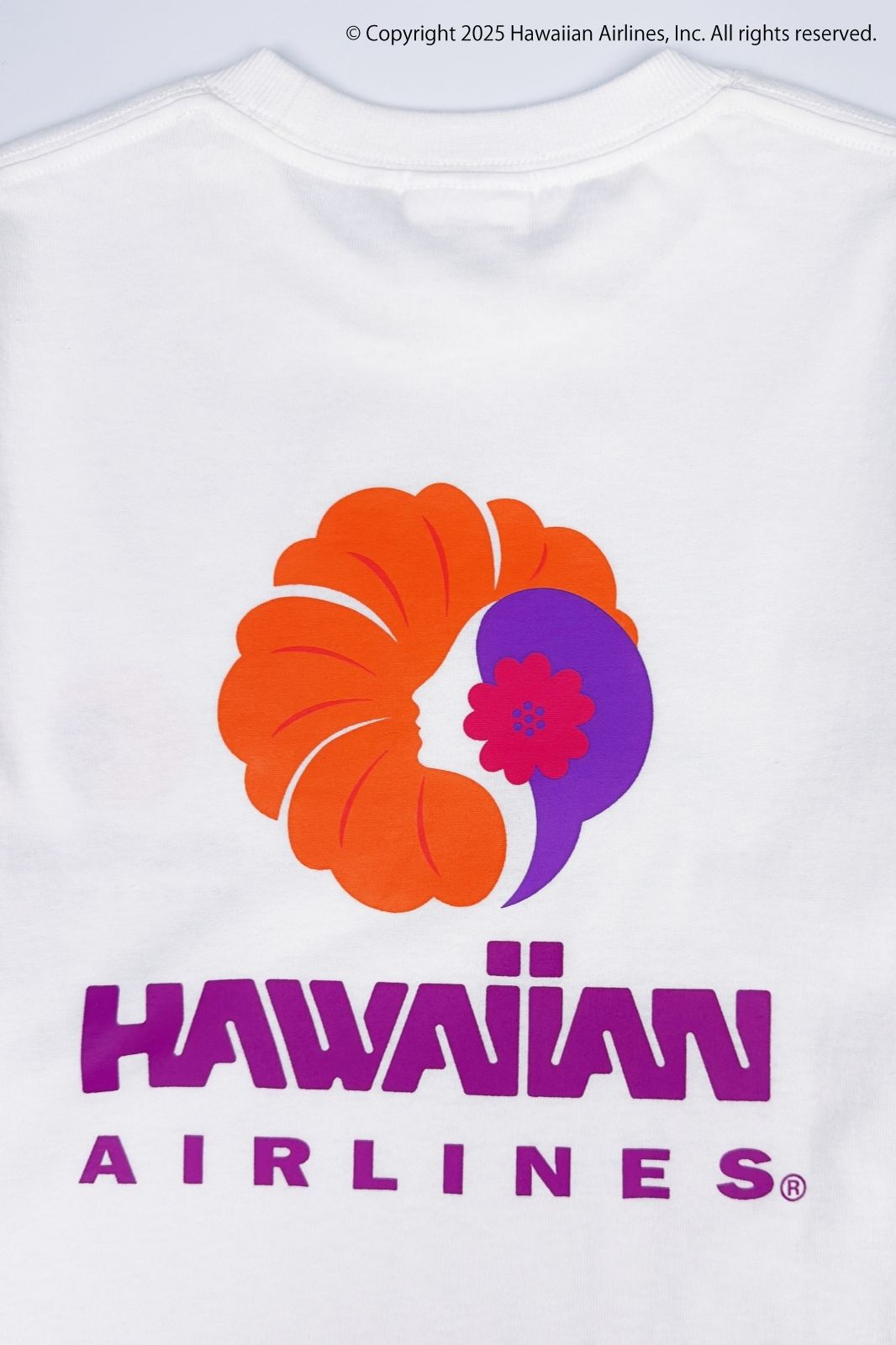 HAL 70S BASIC – ローカルモーション公式オンラインストア｜LOCAL