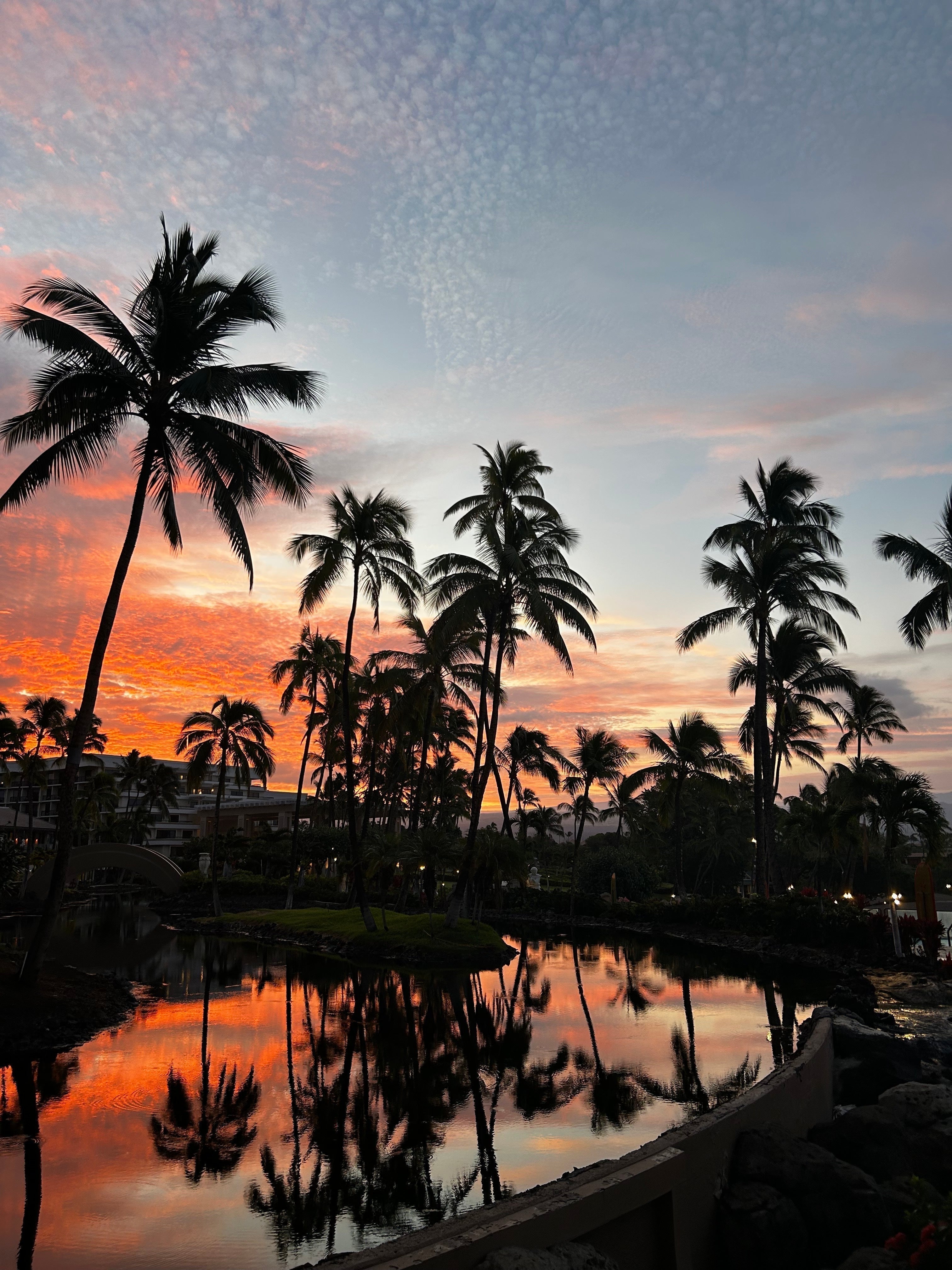 アンジェラハワイニュース – ローカルモーション公式オンラインストア