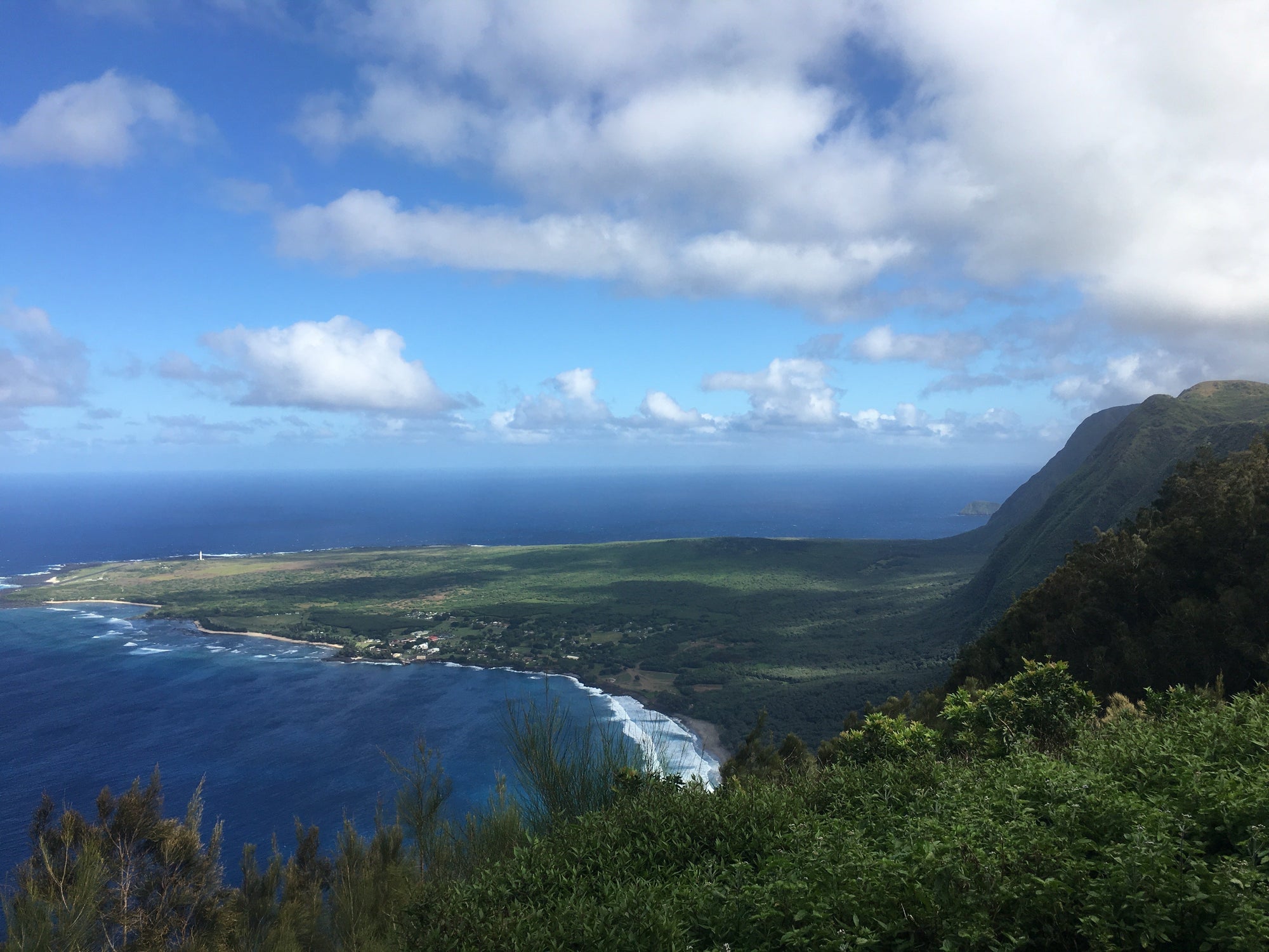 【Hawaii NEWS】Vo,173