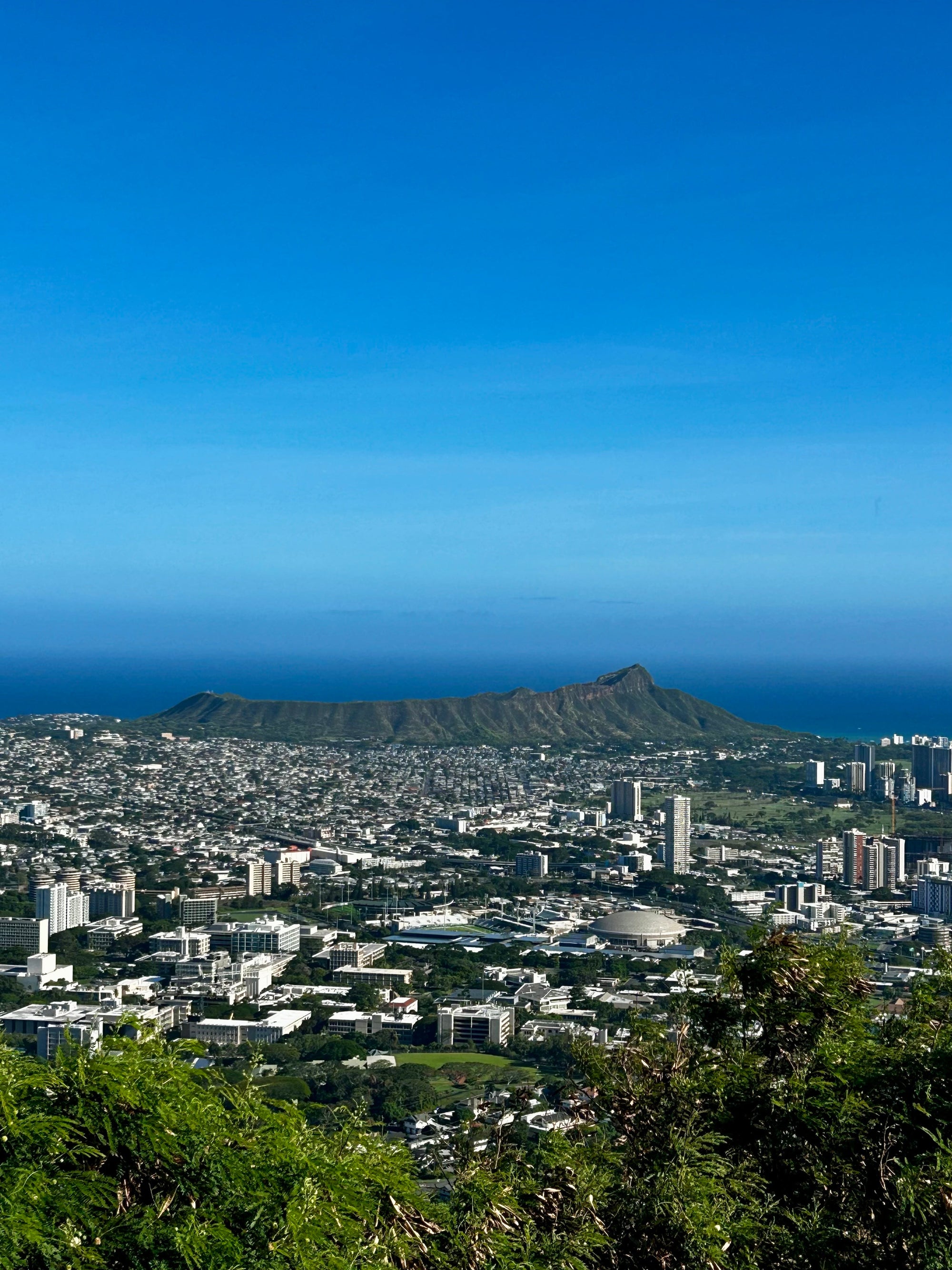 【Hawaii NEWS】Vo,180