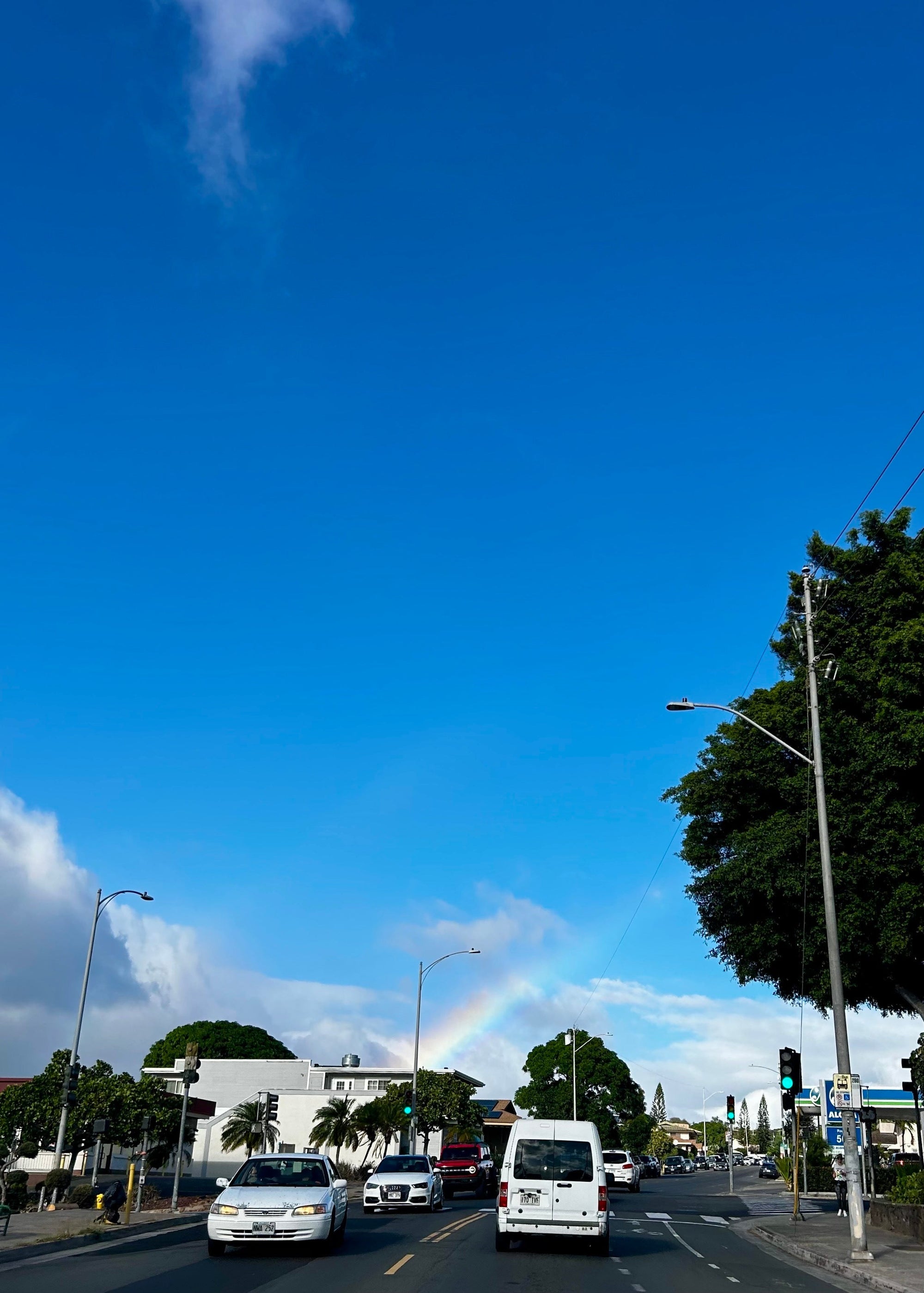 【Hawaii NEWS】Vo,179