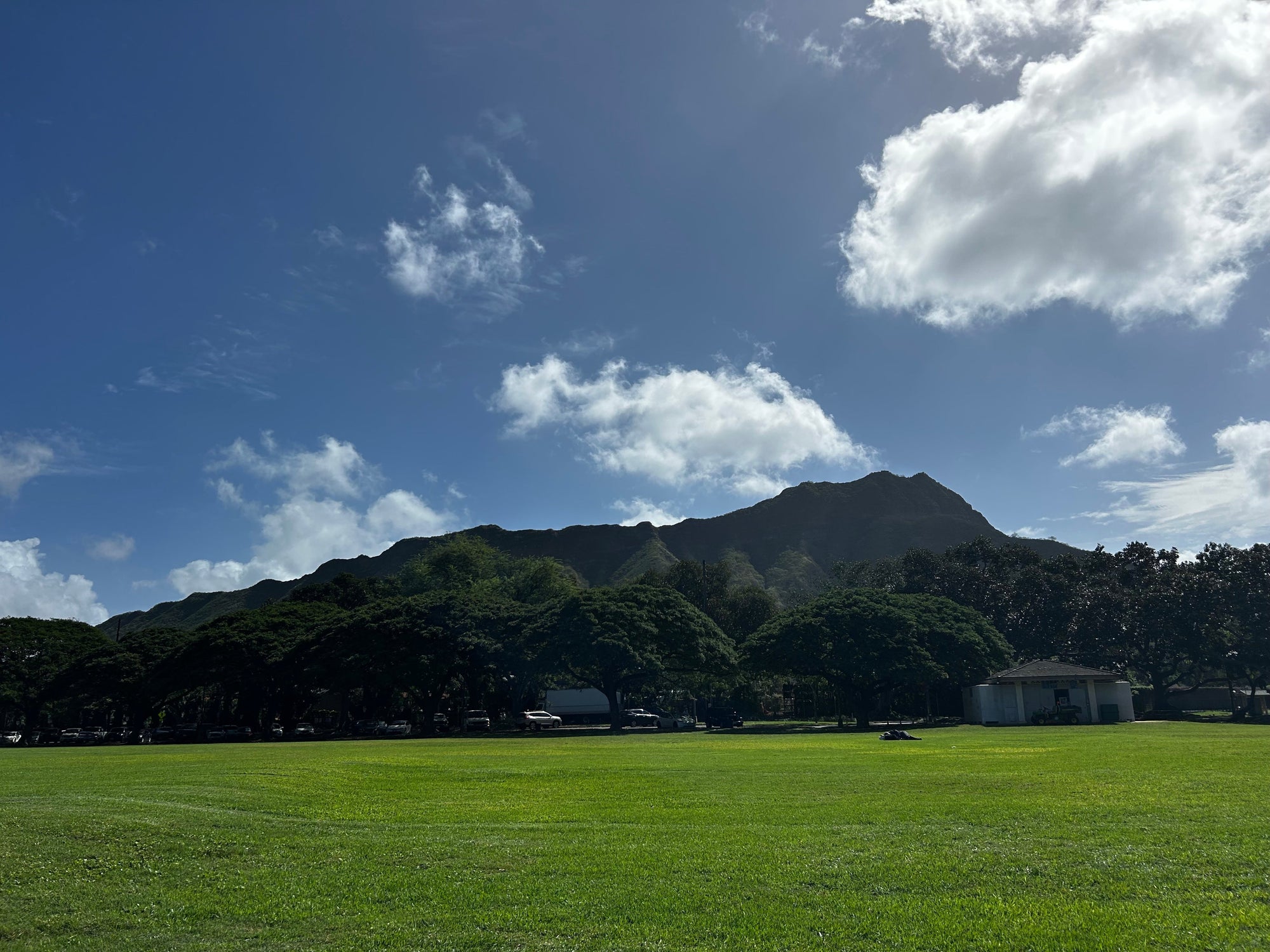 【Hawaii NEWS】Vo,156