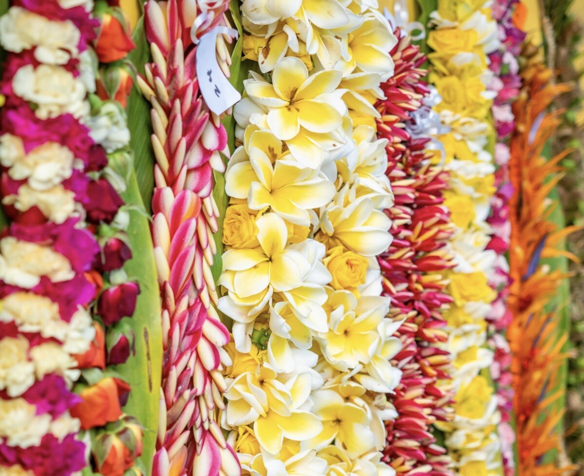 【Hawaii NEWS】Vo,149