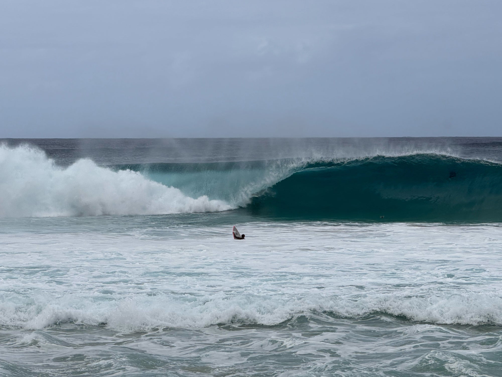 【Hawaii NEWS】Vo,153