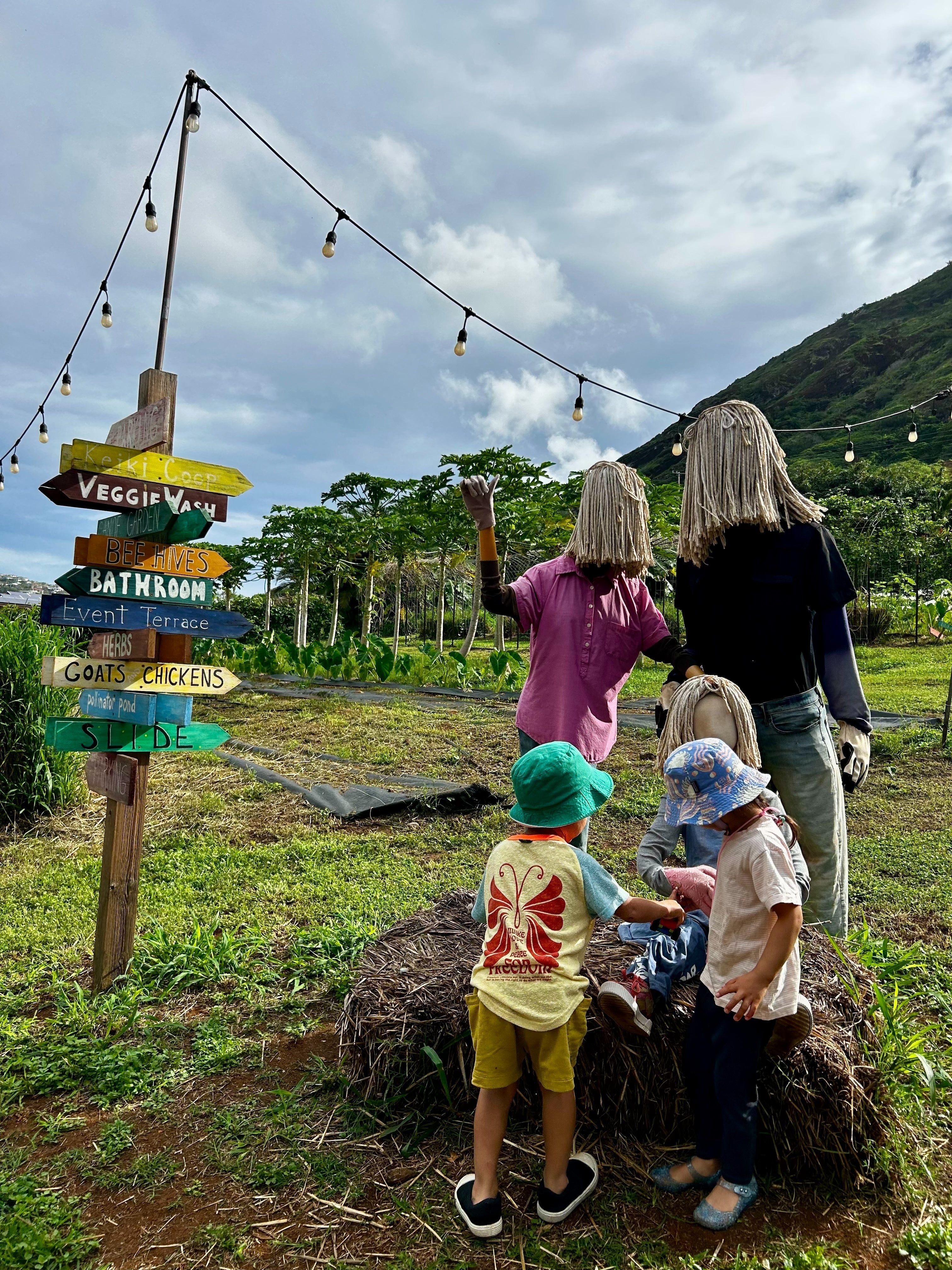 アンジェラハワイニュース – ローカルモーション公式オンラインストア