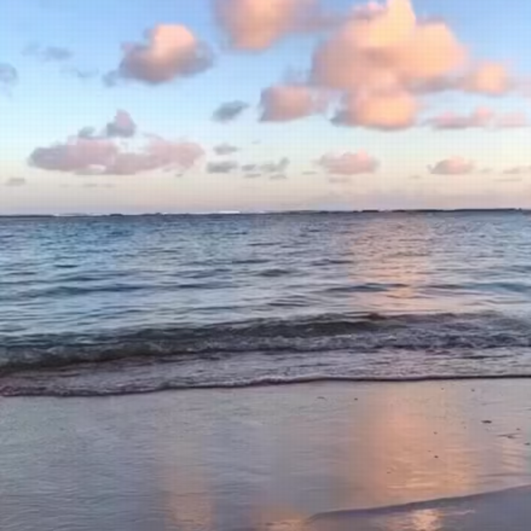 2021.09.14 【Hawaii NEWS】Vo.18