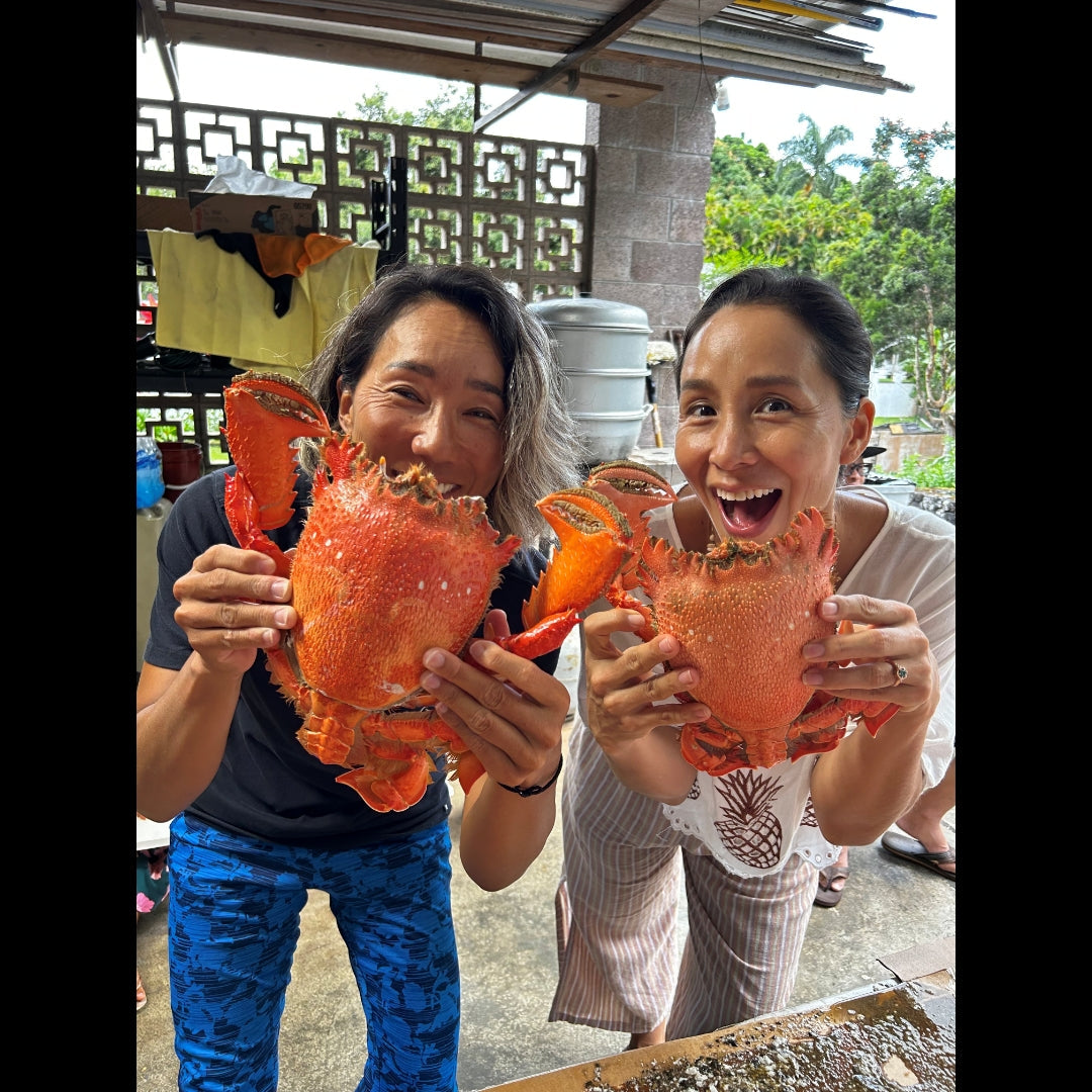 2025.3.4 【Hawaii NEWS】Vo.119