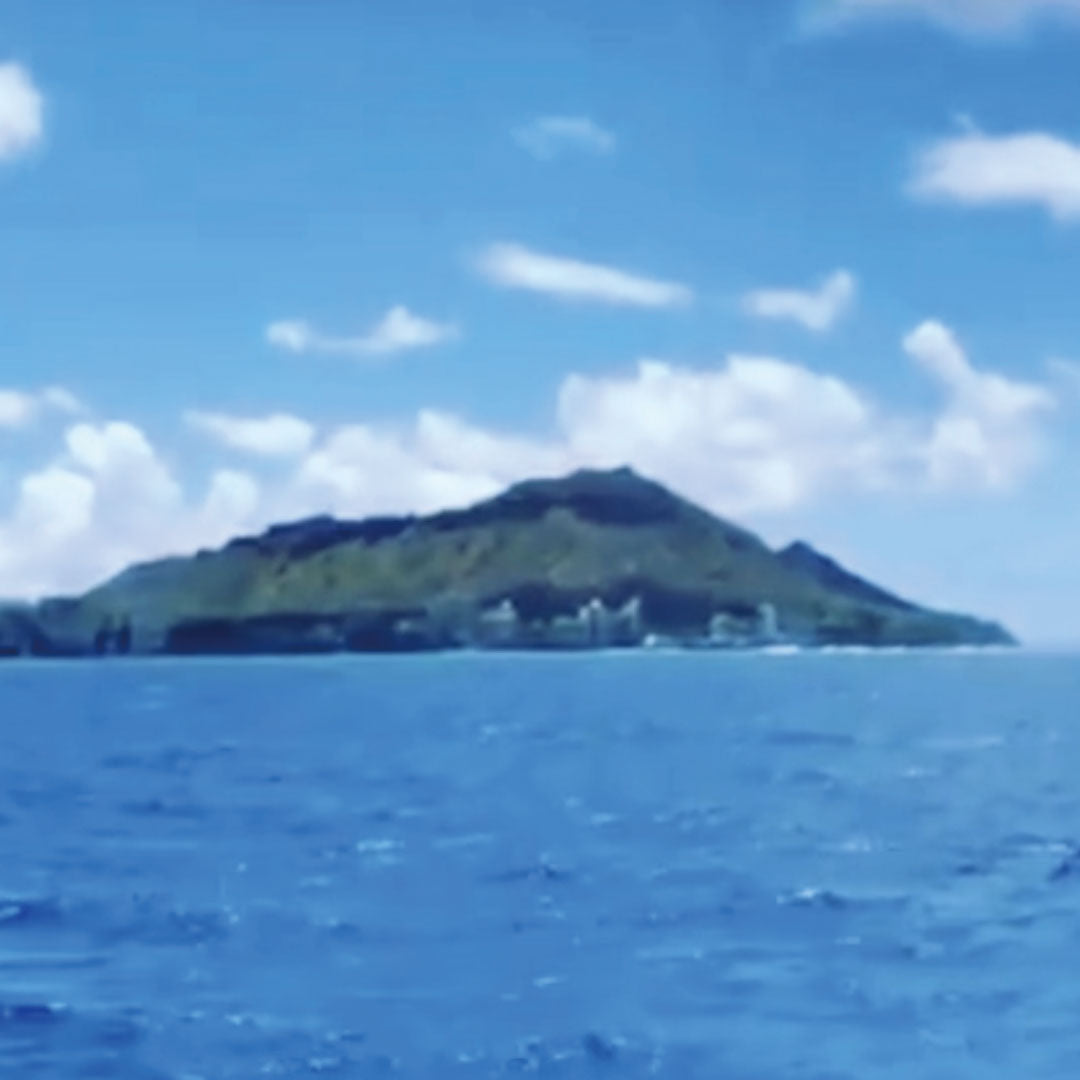 2021.06.18 【Hawaii NEWS】Vo.12