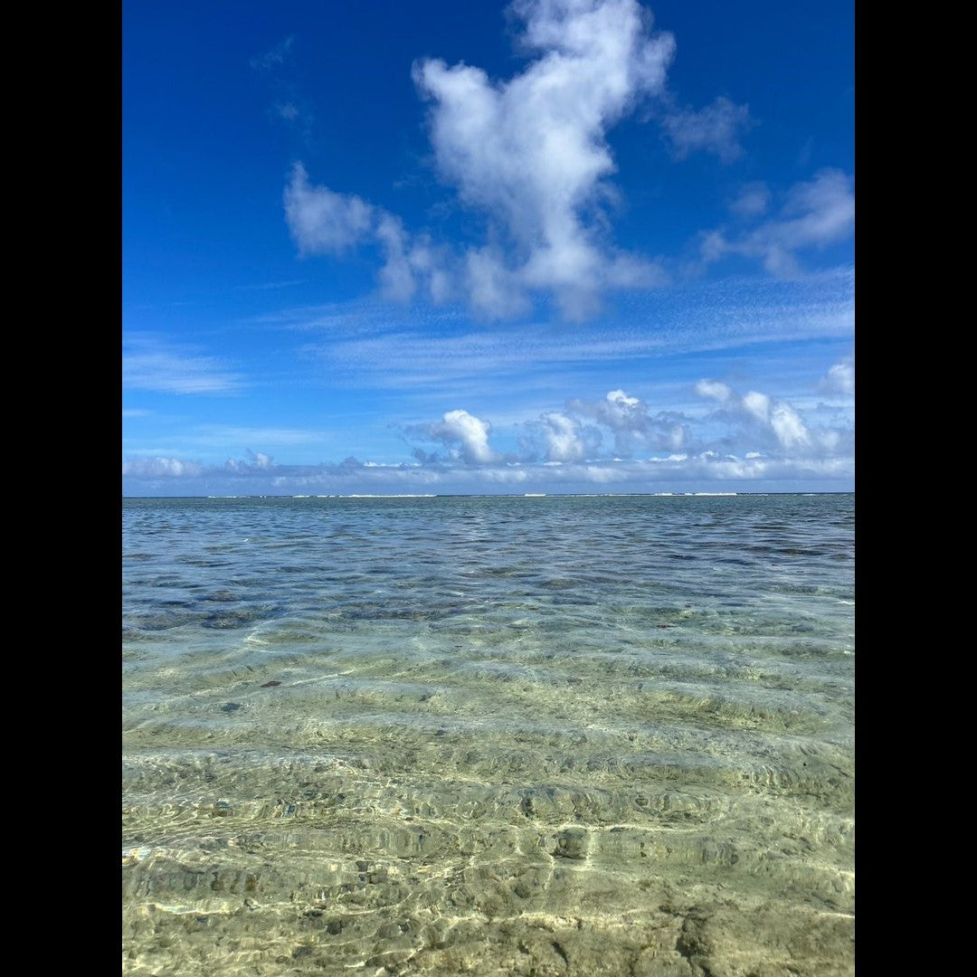 2023.03.20 【Hawaii NEWS】Vo.39
