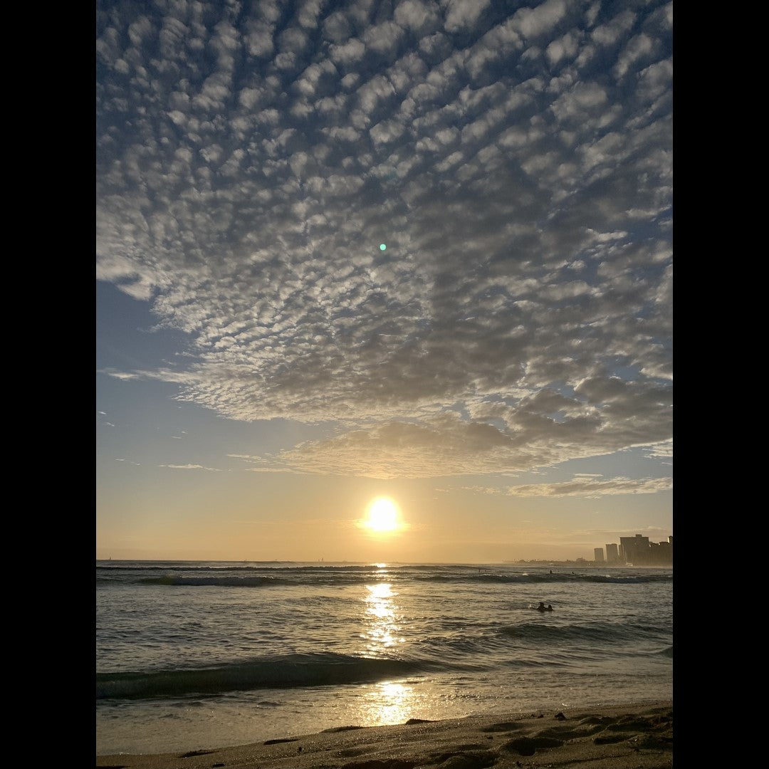 2024.06.10 【Hawaii NEWS】Vo.88