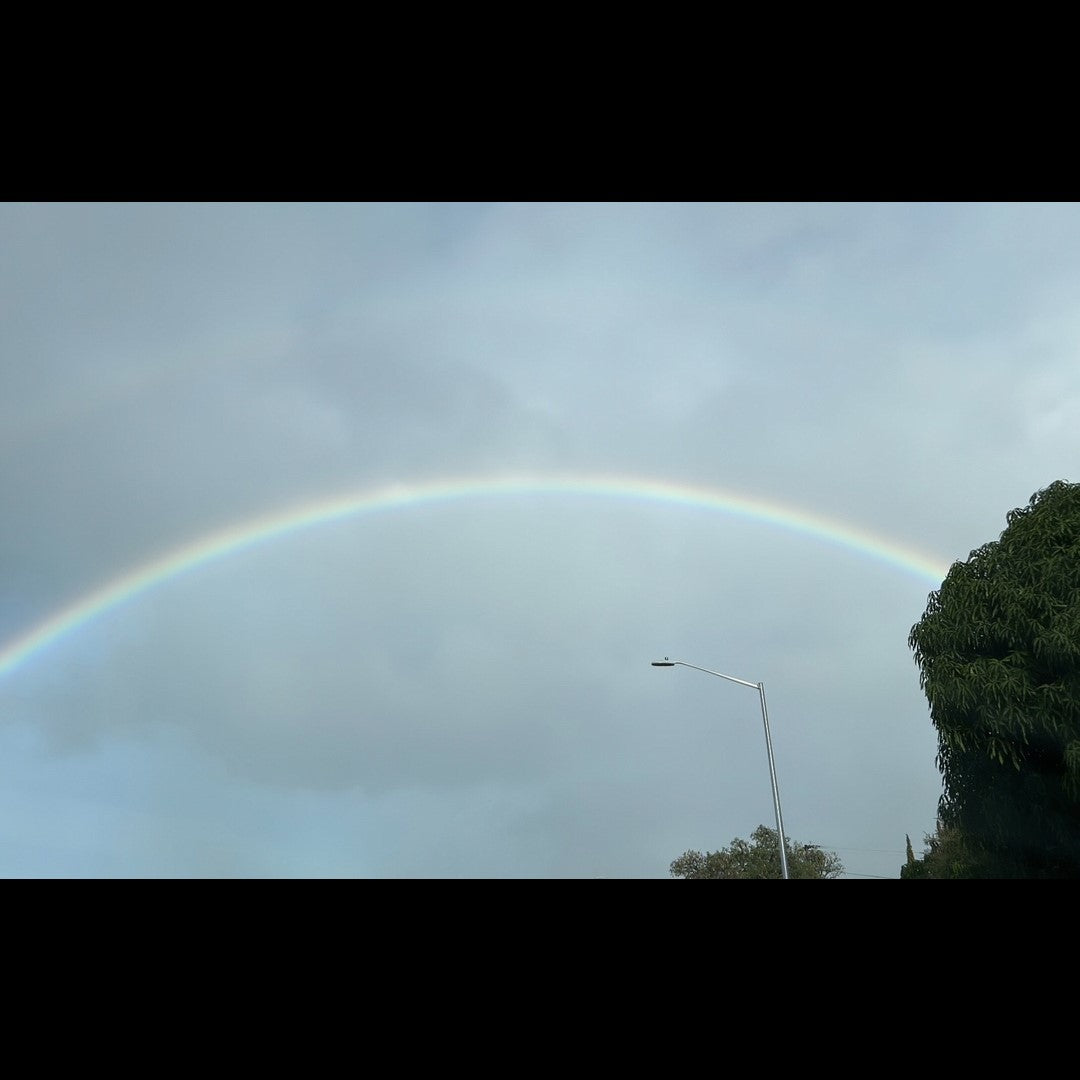 2023.11.24 【Hawaii NEWS】Vo.64