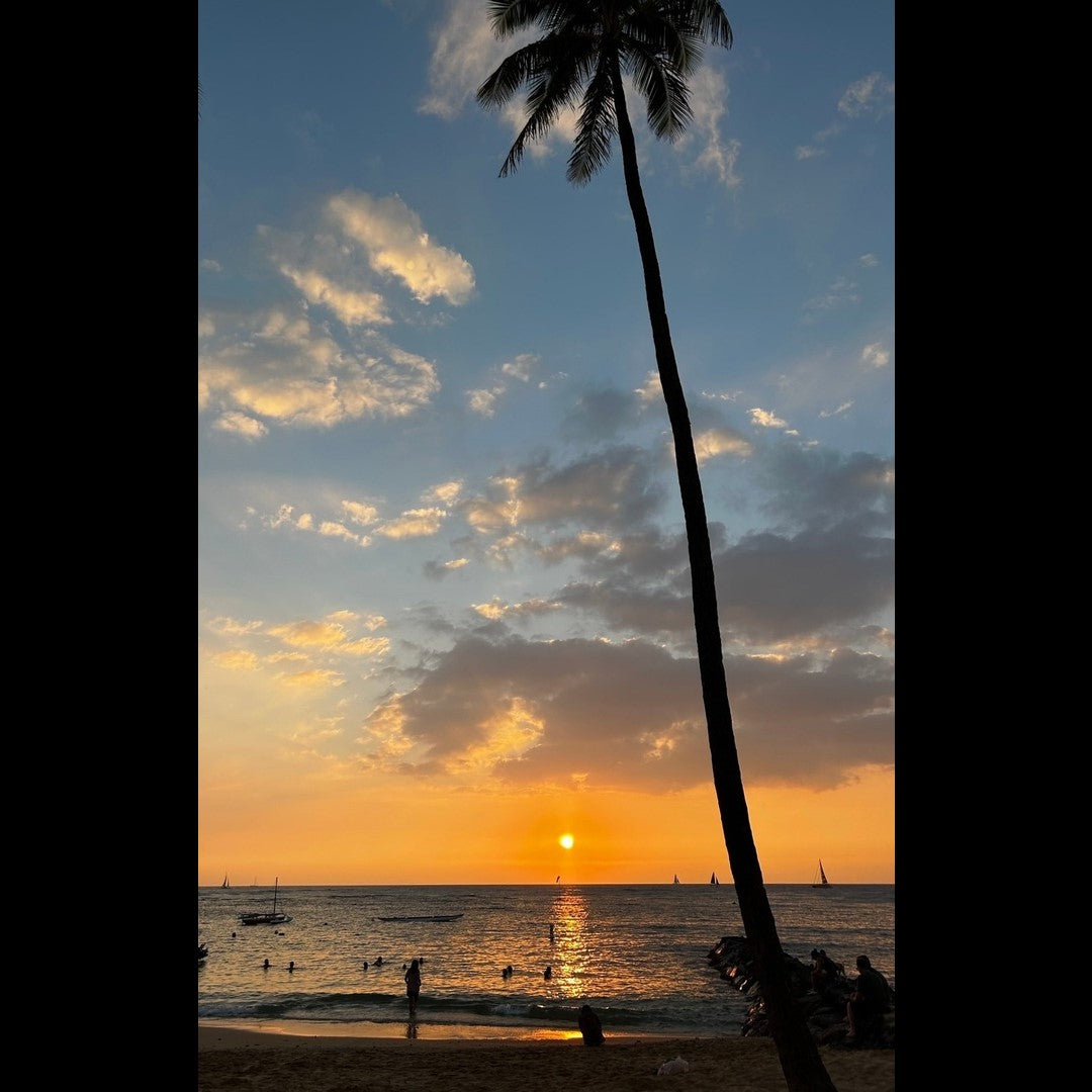 2023.01.16 【Hawaii NEWS】Vo.34
