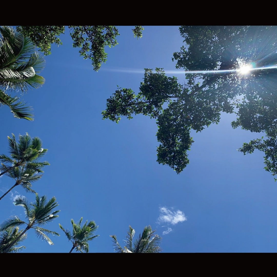 2022.08.24 【Hawaii NEWS】Vo.21