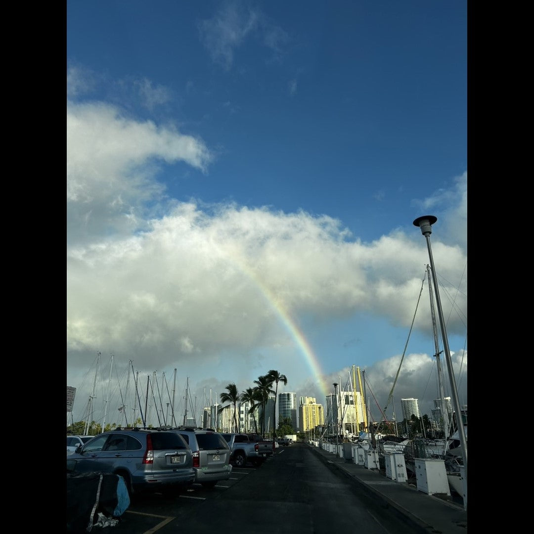 2024.11.18 【Hawaii NEWS】Vo.106