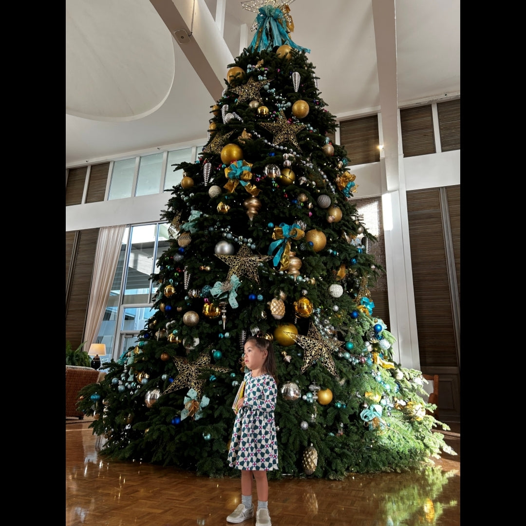 2024.12.23 【Hawaii NEWS】Vo.111