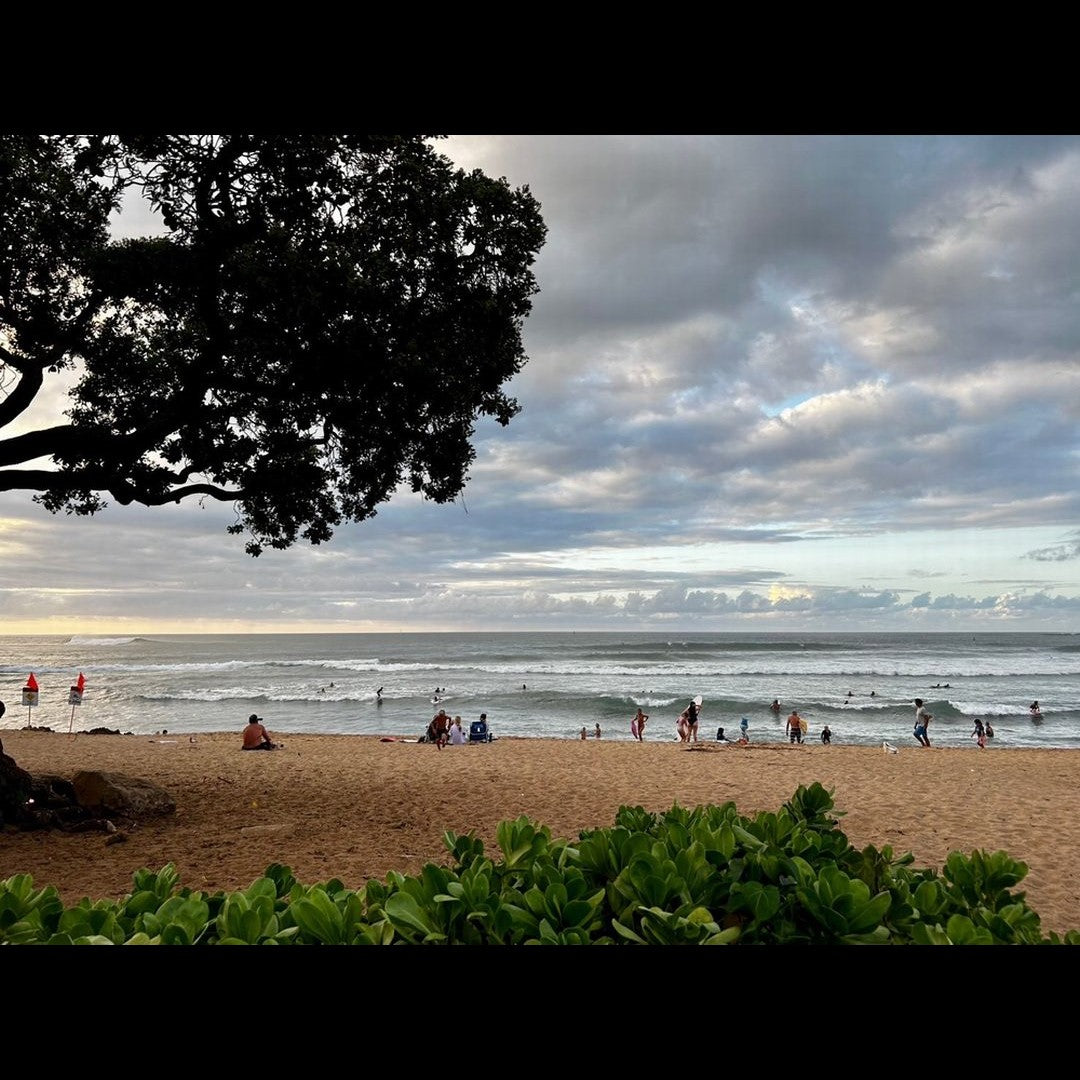 2023.10.20 【Hawaii NEWS】Vo.61
