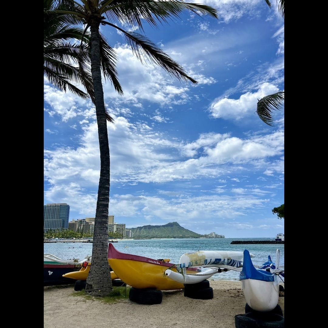 2024.06.27 【Hawaii NEWS】Vo.91