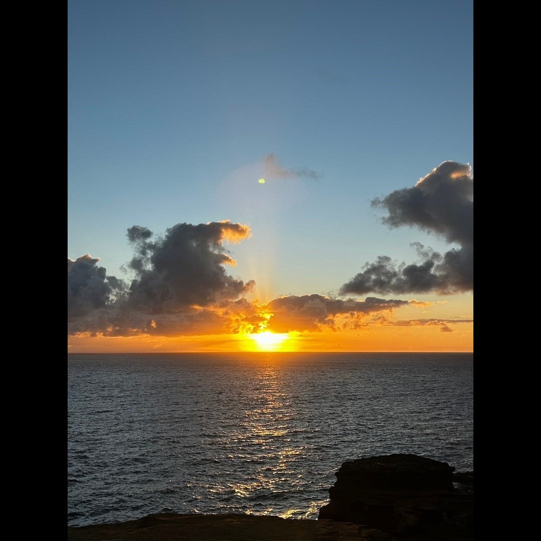 2024.01.15 【Hawaii NEWS】Vo.69