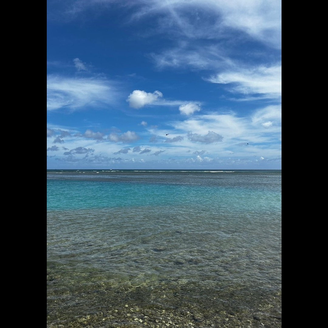 2023.04.17 【Hawaii NEWS】Vo.41