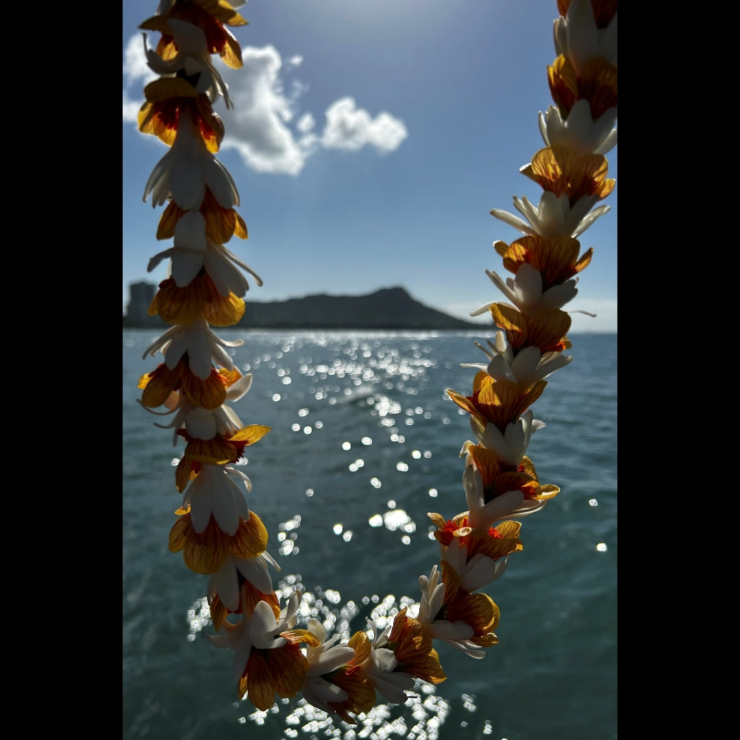 2025.2.20 【Hawaii NEWS】Vo.118