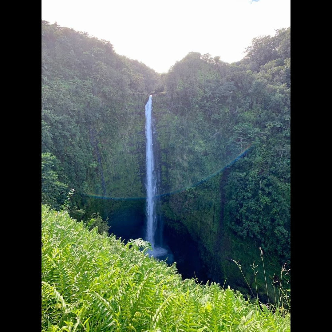 2023.02.03 【Hawaii NEWS】Vo.36