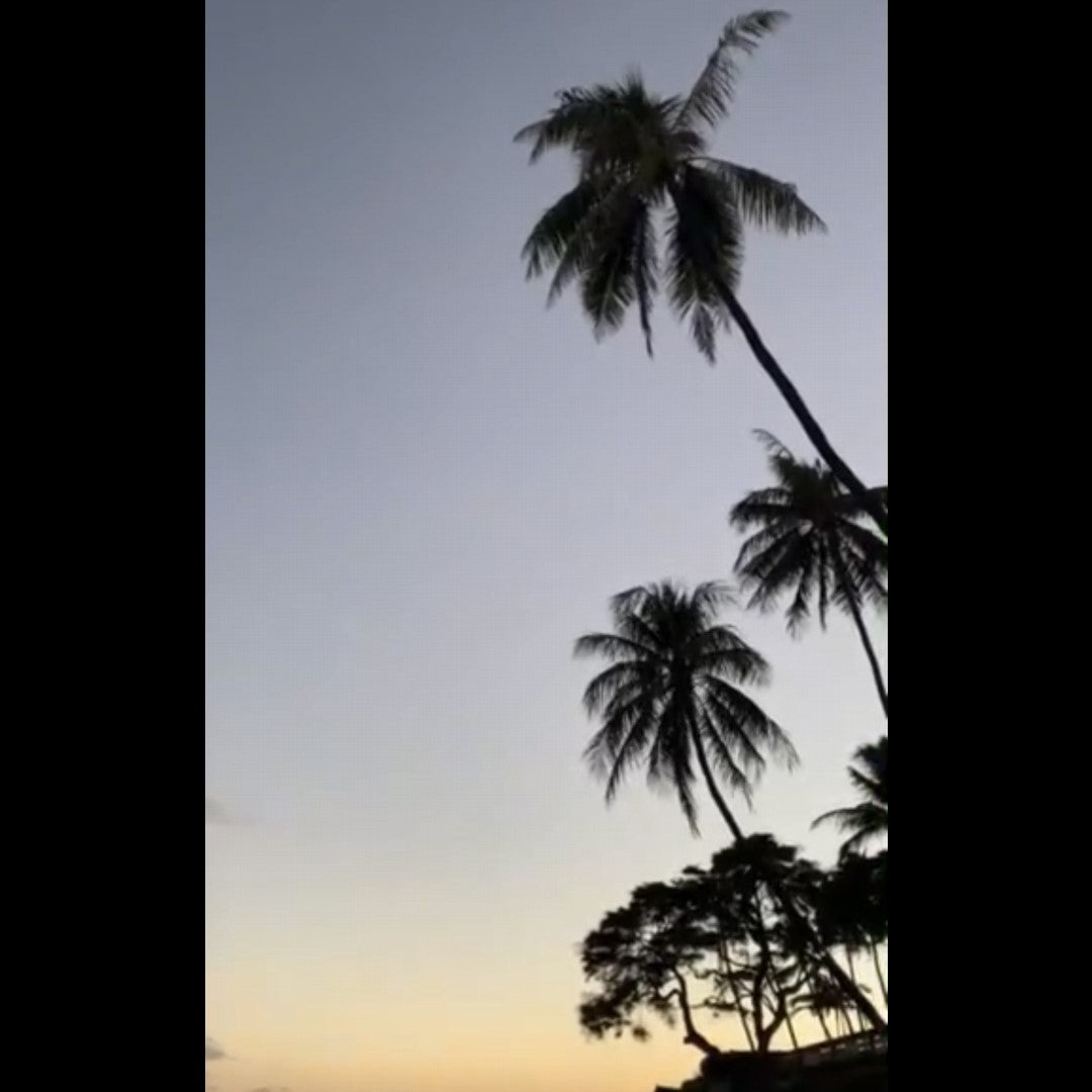 2022.10.03 【Hawaii NEWS】Vo.26