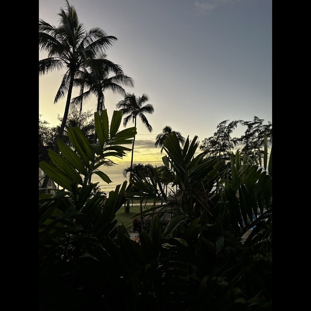 2024.02.15 【Hawaii NEWS】Vo.73