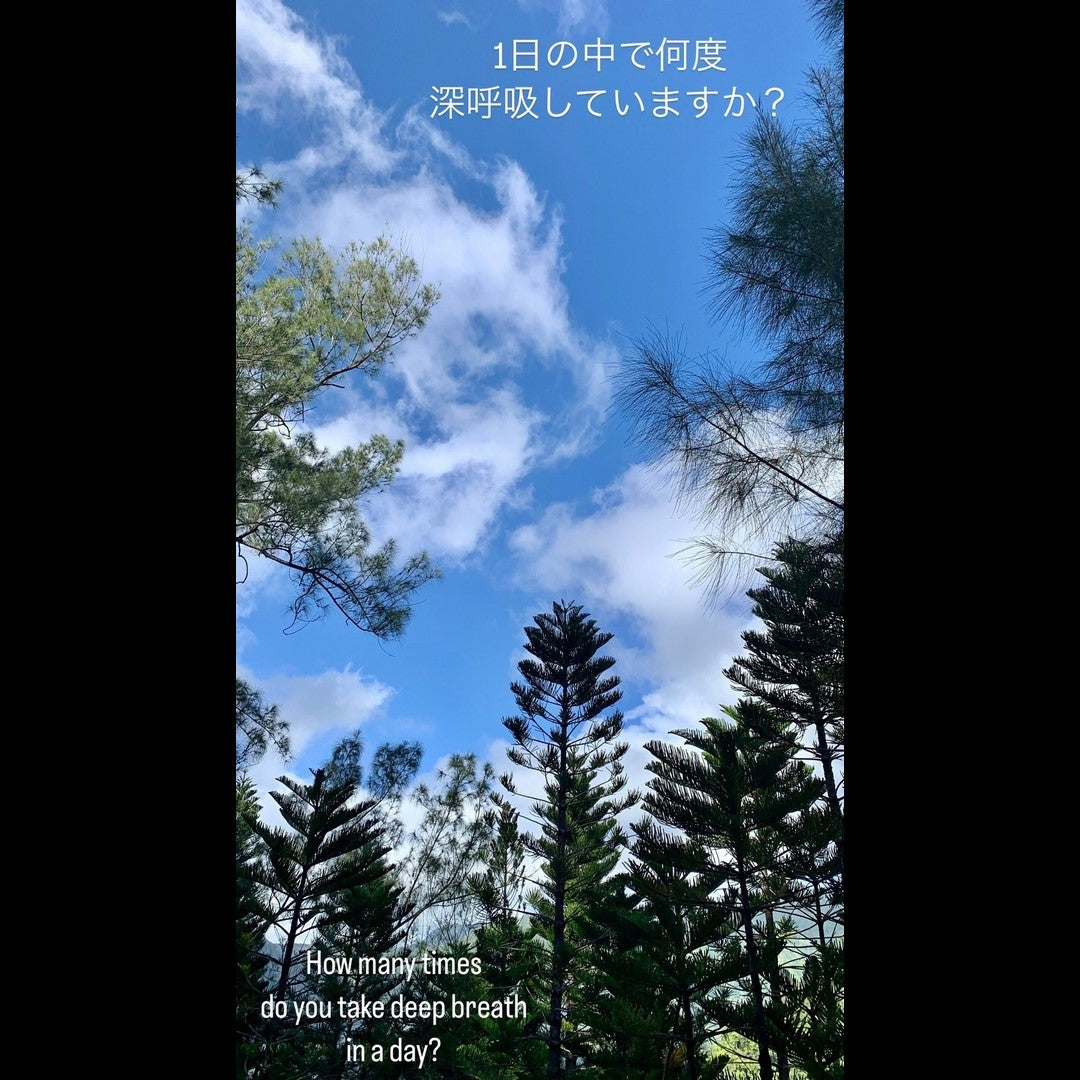 2024.03.12 【Hawaii NEWS】Vo.76