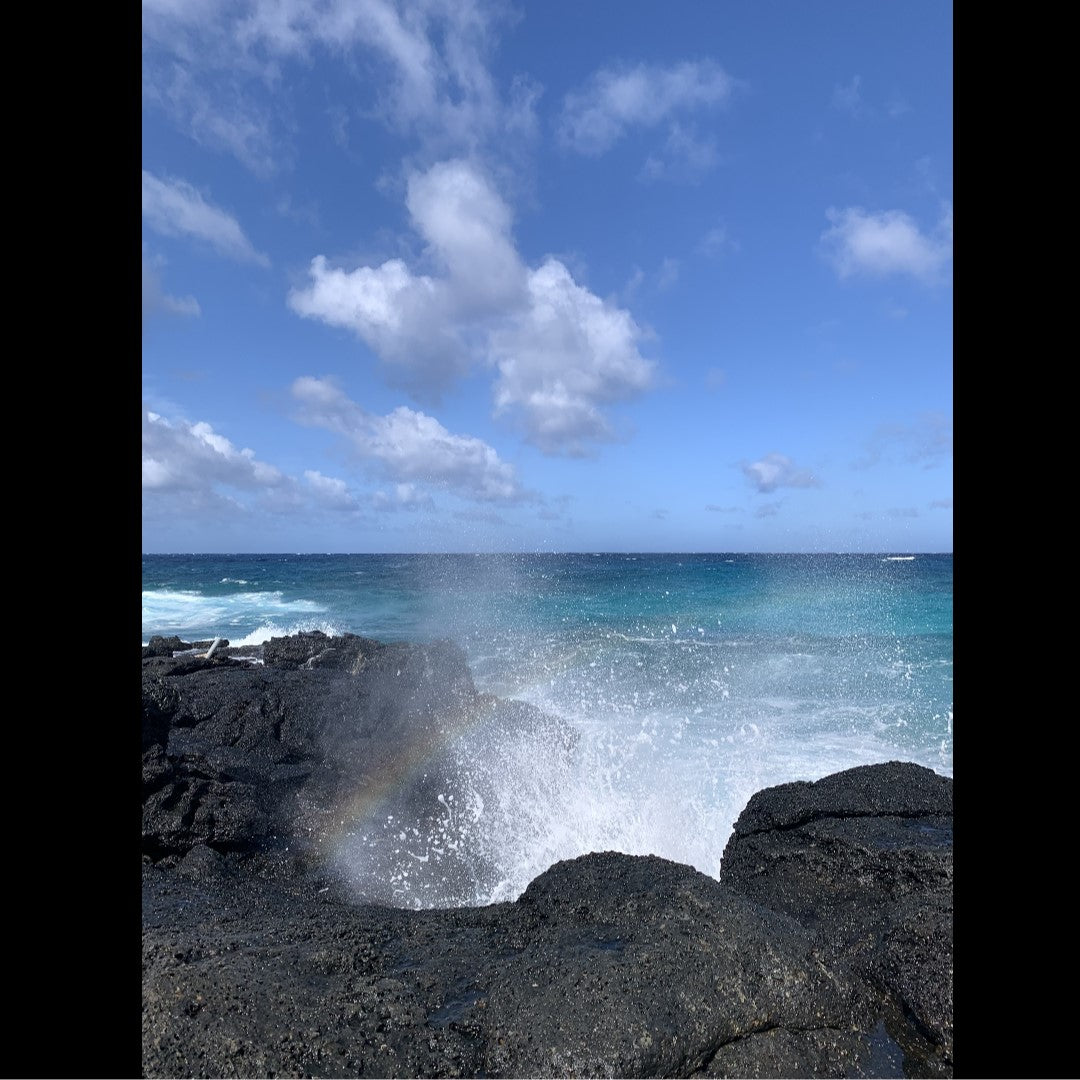 2022.09.05 【Hawaii NEWS】Vo.23