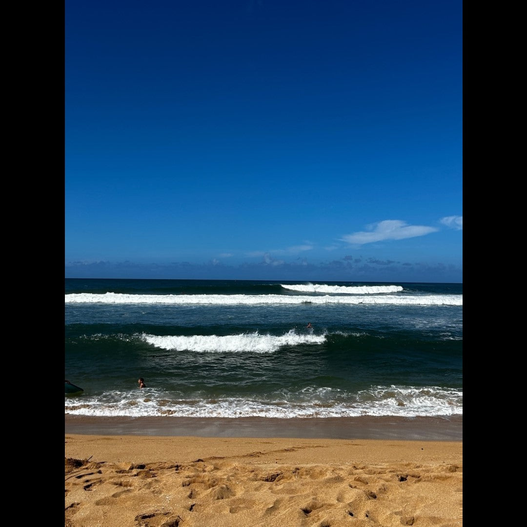 2024.11.15 【Hawaii NEWS】Vo.105