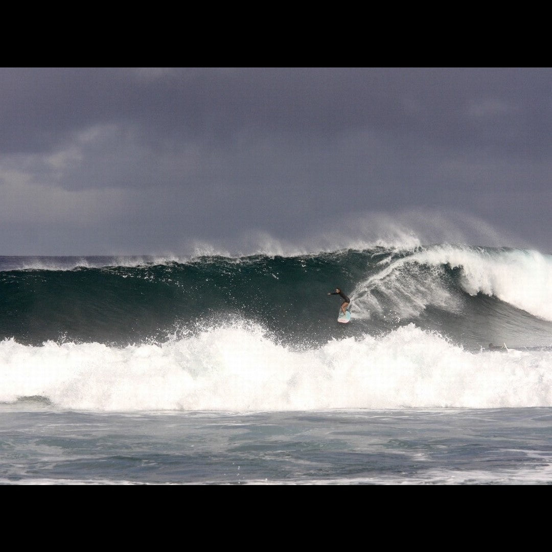 2023.11.10 【Hawaii NEWS】Vo.63