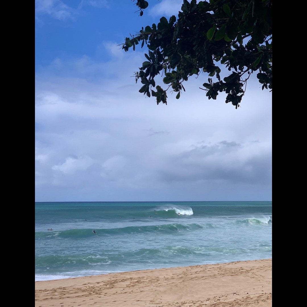 2022.10.10 【Hawaii NEWS】Vo.27