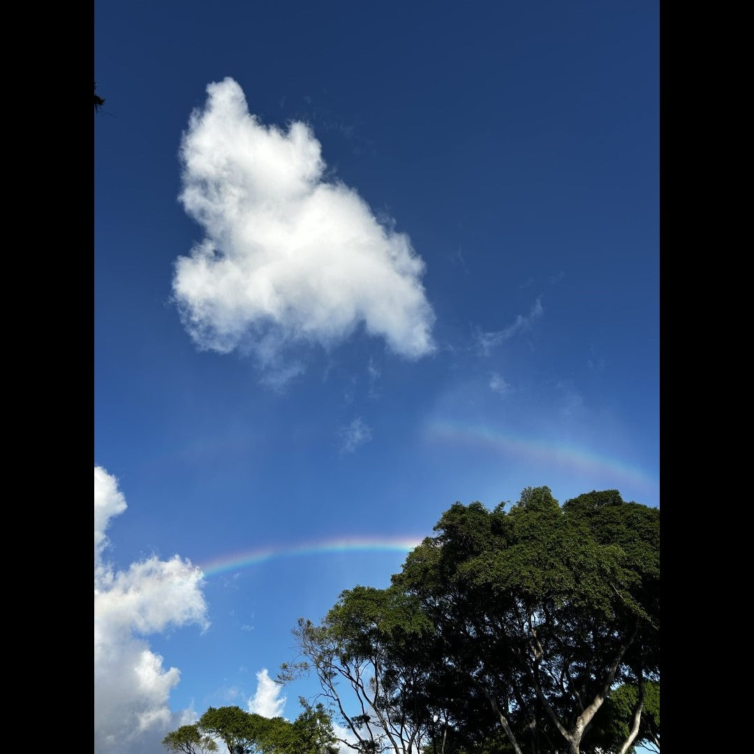 2024.10.08 【Hawaii NEWS】Vo.101