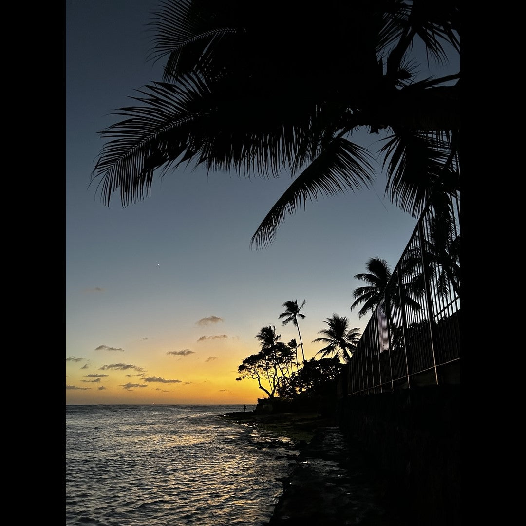 2024.11.05 【Hawaii NEWS】Vo.104