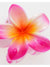 H/PINK
