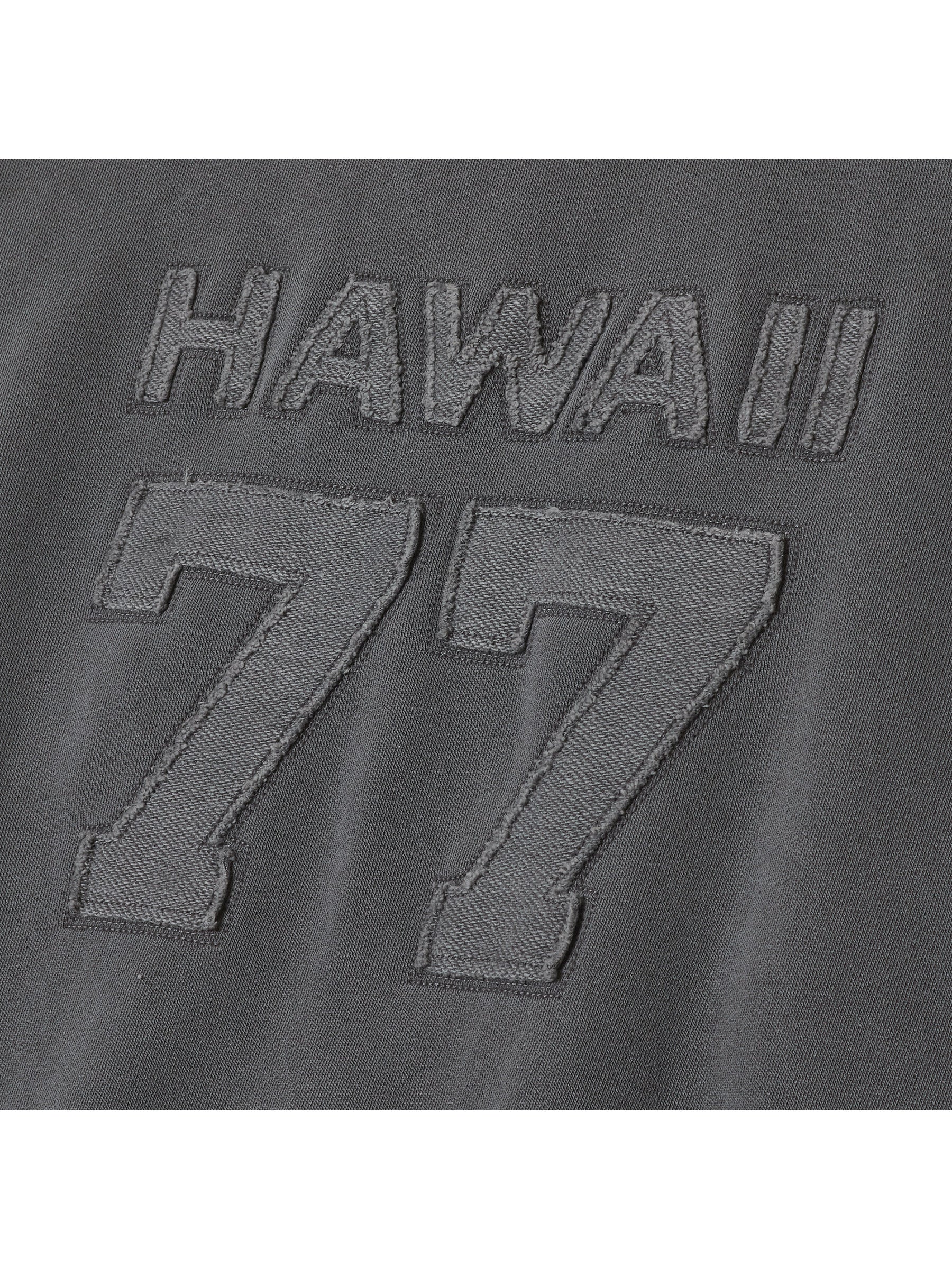 ピグメント 貼リ付ケ スウェット