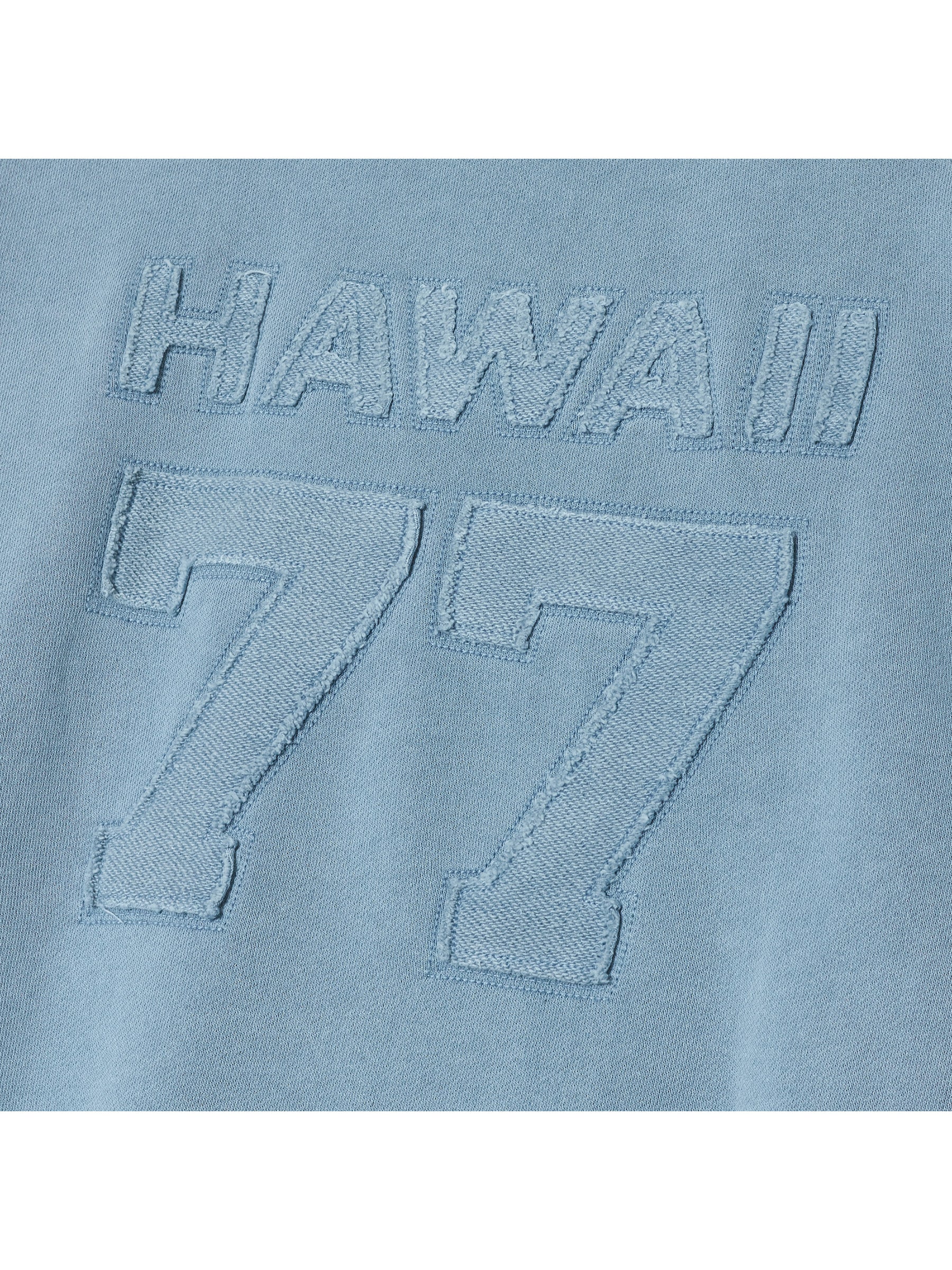 ピグメント 貼リ付ケ スウェット