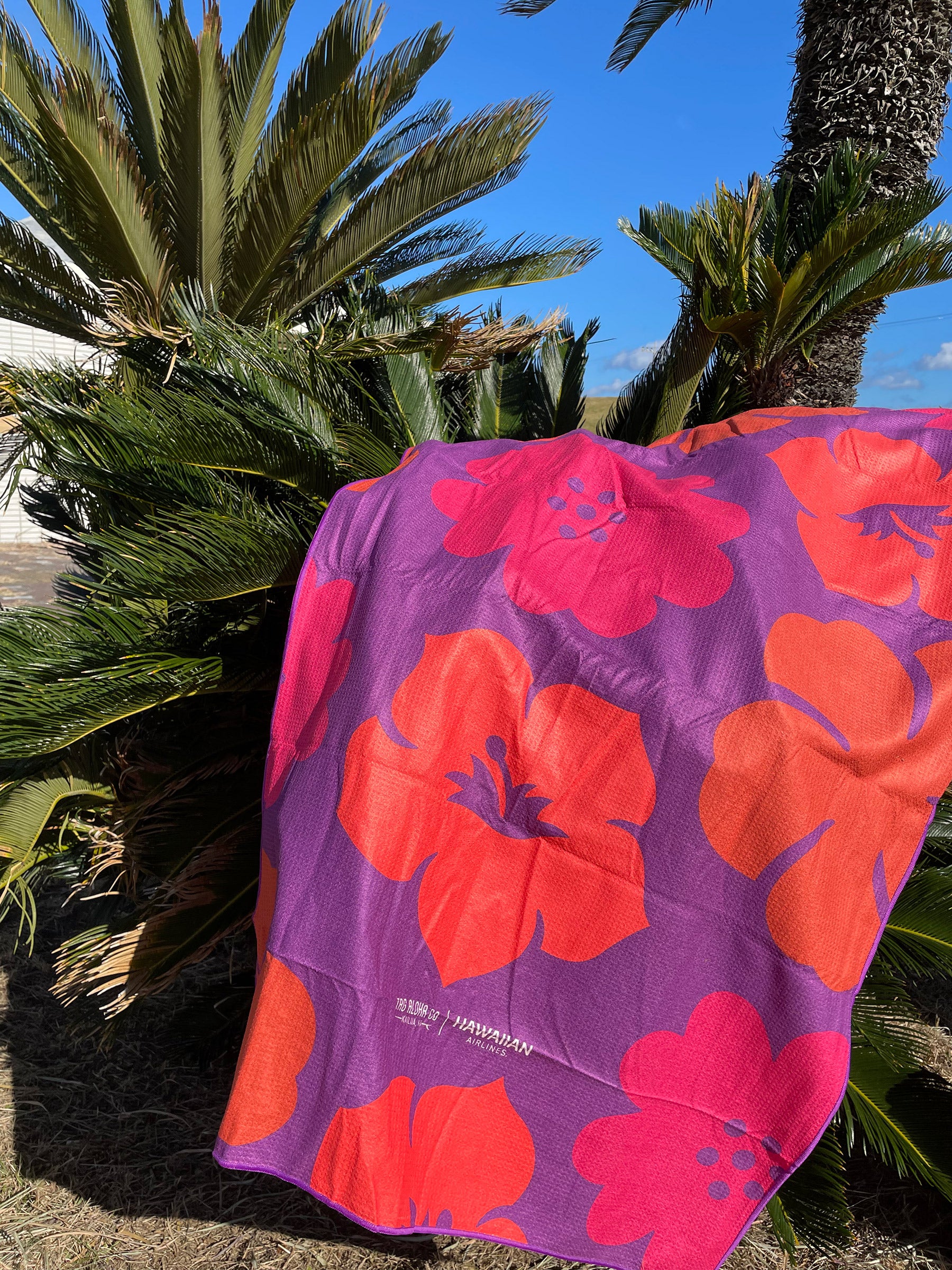 HALビーチタオル – ローカルモーション公式オンラインストア｜LOCAL