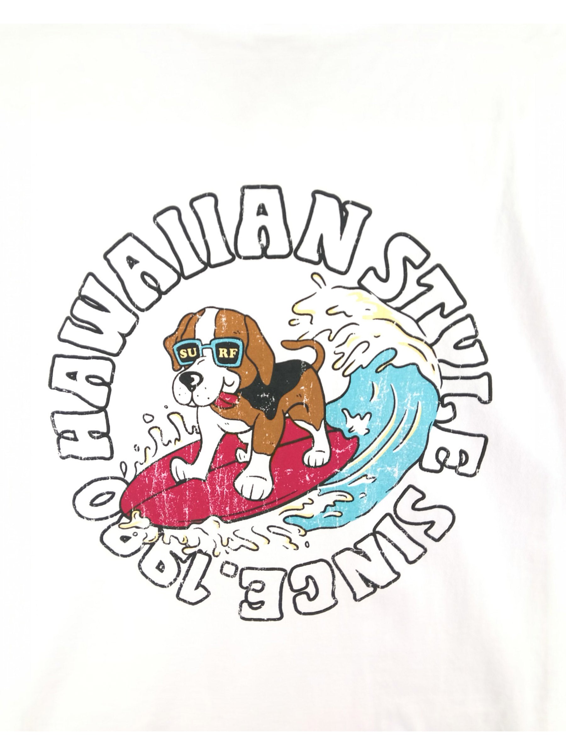 サーフドッグプリントTシャツ – ローカルモーション公式オンライン