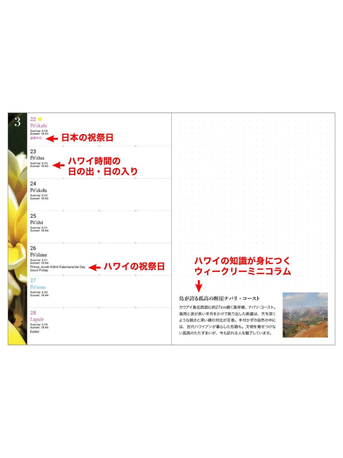 ハワイ手帳 B6版  ウィークリー - HAWAIIAN