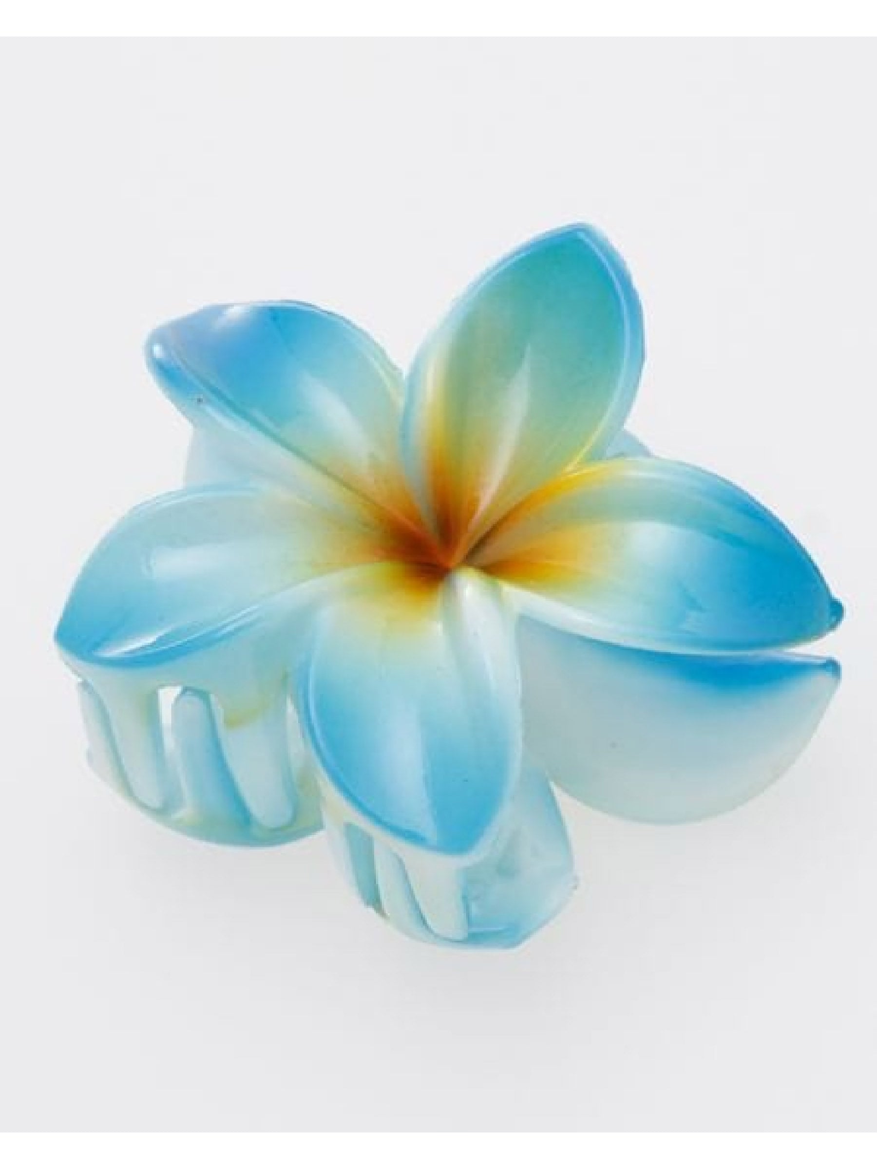 プルメカラーHC – ローカルモーション公式オンラインストア｜LOCAL