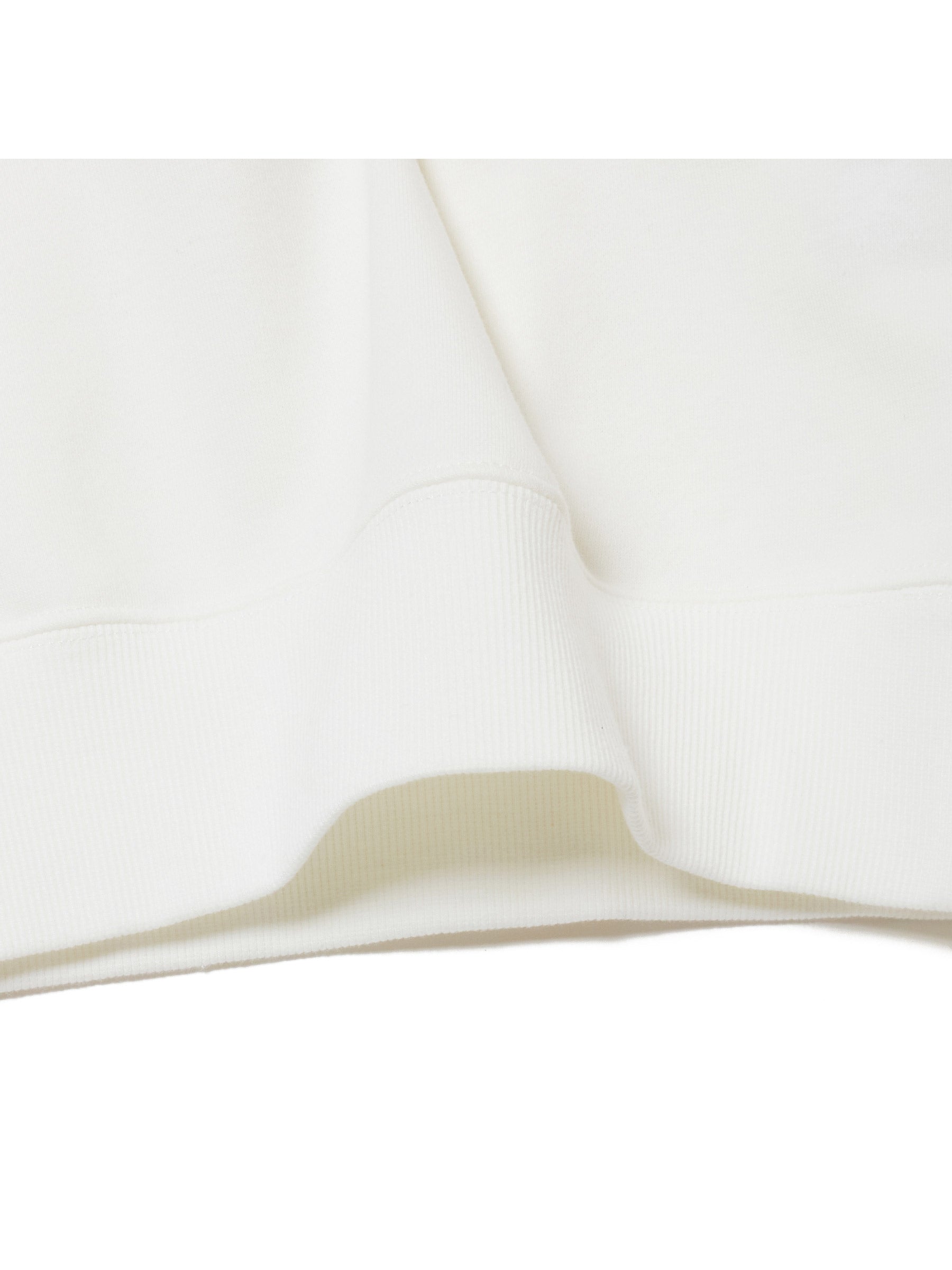 【BFセット割対象】レインボーパームプリント スウェット