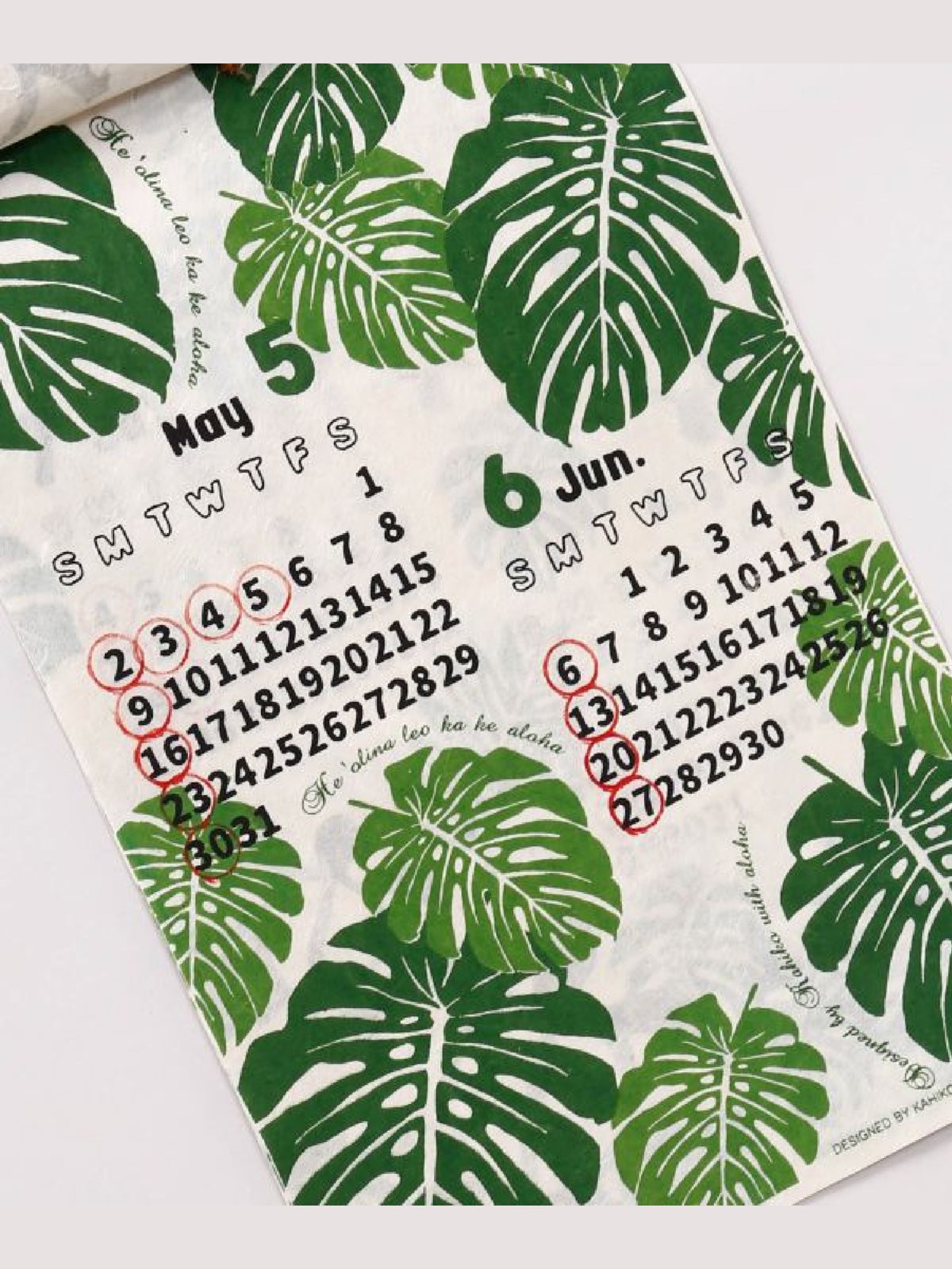 2027HAWAII - 1VARIATION