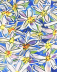 DAISIES BIKINI PANTS