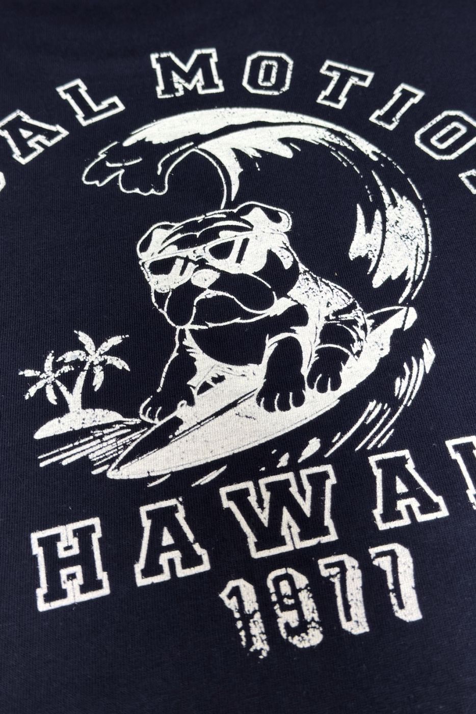 DOG SURF