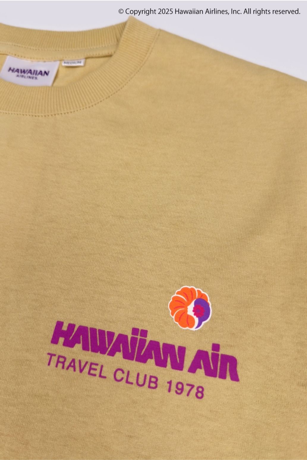 ハワイアン航空 ラインパターンTシャツ – ローカルモーション公式
