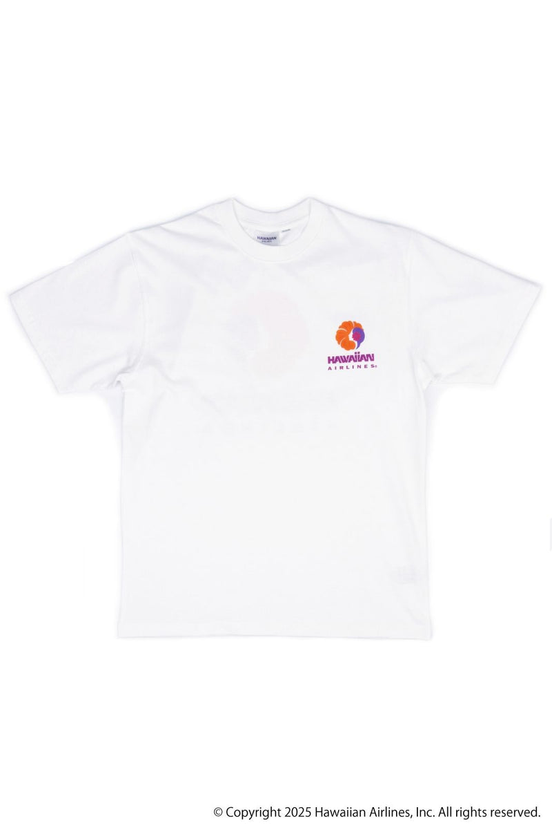 HAL 70S BASIC